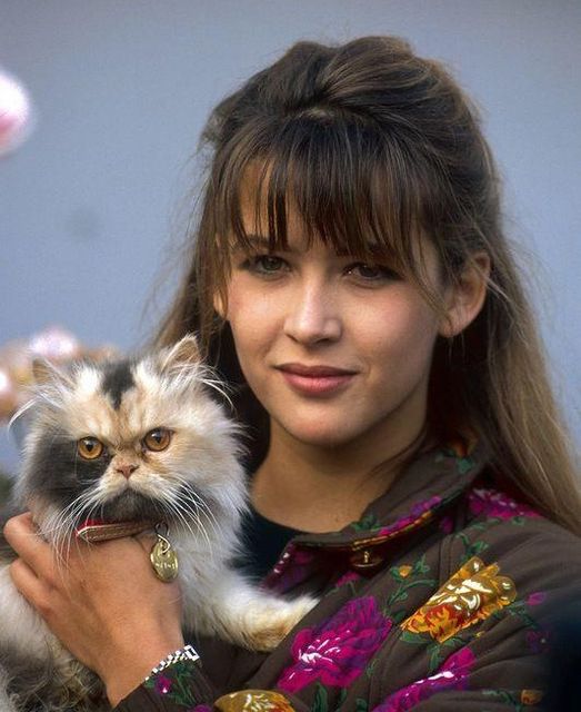 Sophie Marceau très engagée pour la protection animale.