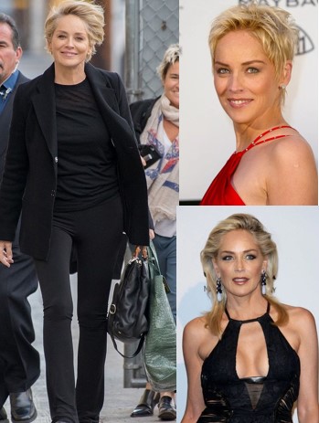 Bon anniversaire à Sharon Stone (65 ans)