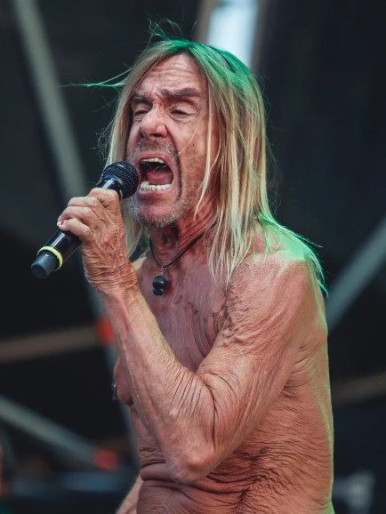 Bon anniversaire à Iggy Pop (76 ans)