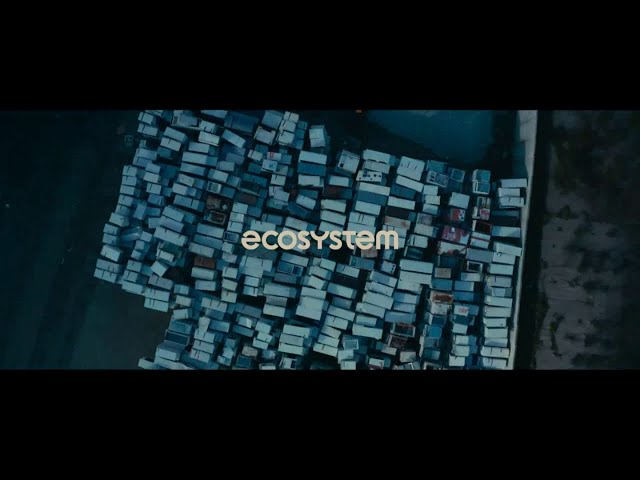 Musique de Pub ecosystem 2020 – Brothers – Polérik Rouvière