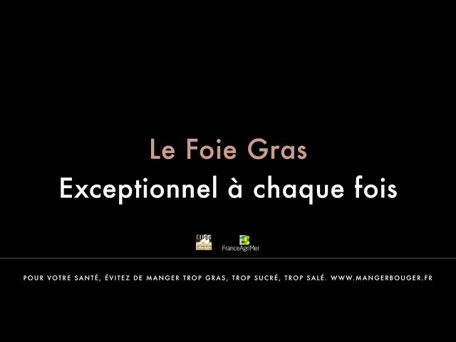 Musique de Pub Le Foie Gras – Noël novembre 2020 – Datsit – Production Music