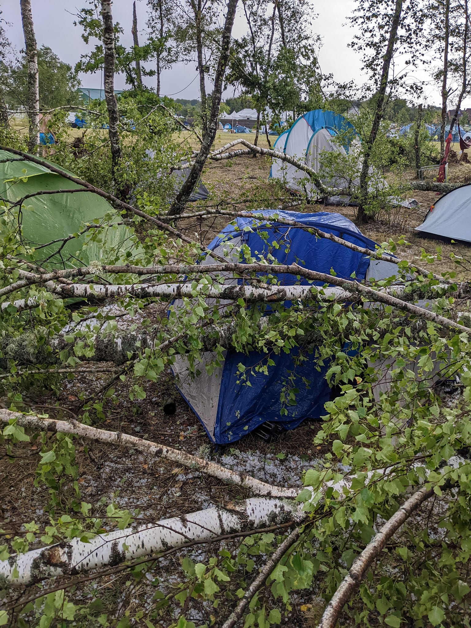 Le site des eurockéennes dévasté