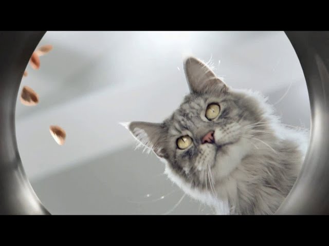 Pub Purina One DualNature novembre 2020