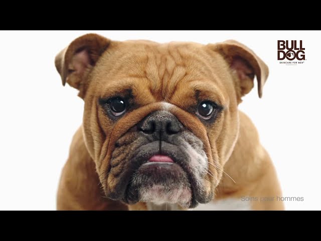 Pub Rasoir en bambou Original Bulldog novembre 2020