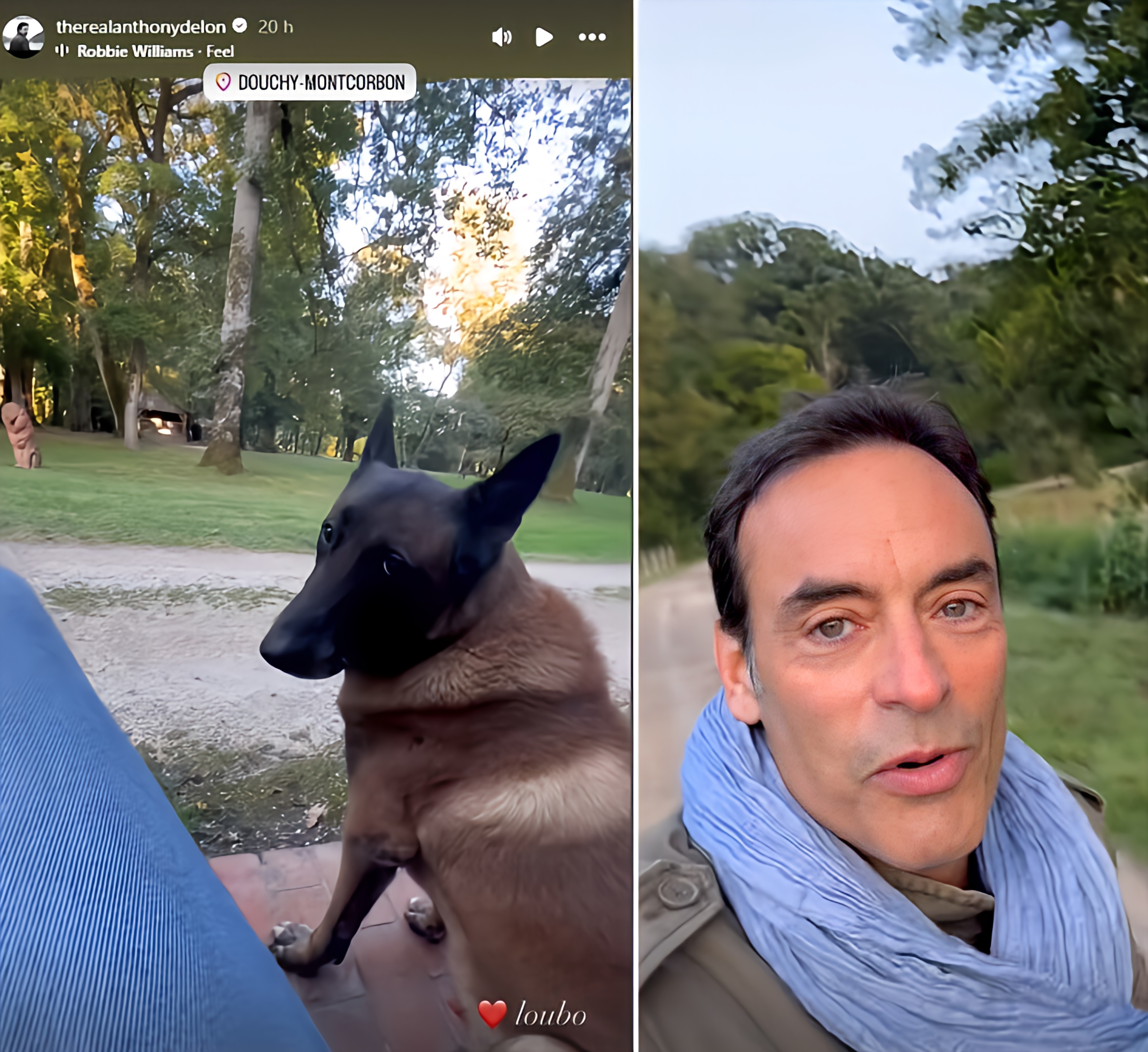 Anthony Delon poste une vidéo du chien de son père, Loubo, accompagné de la chanson “Free” de Robbie Williams.