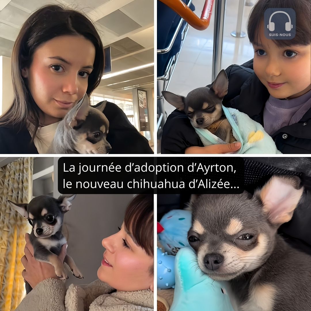 Alizée nous amène avec elle adopter son “nouveau bébé”, Ayrton un petit chihuahua…